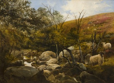 Sur le Black Burn, près de Rothbury - Robinson Elliott